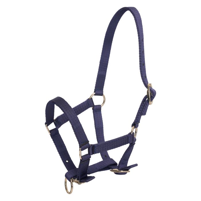Headcollar foal HVPNena - 5001 - Navy