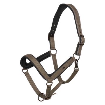 Halster HVP-Essential -  Stone