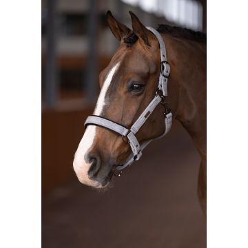 Halster HVPFrancis -  Grey