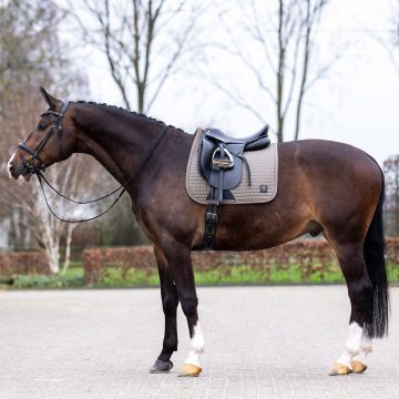 Zadeldekje HVP-Dae dressuur -  Stone