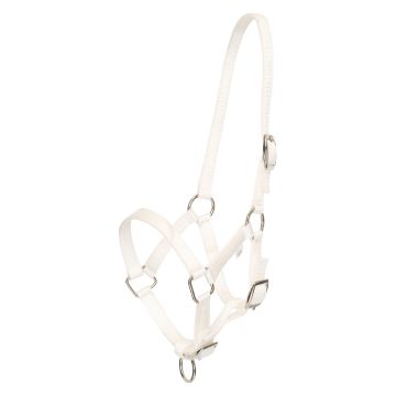 Halster veulen HVP-Nena -  White 