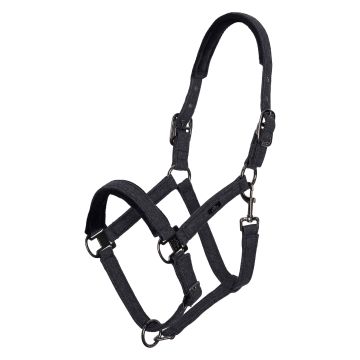 Halster HVPFrancis -  Black