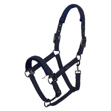 Halster HVPFrancis -  Navy