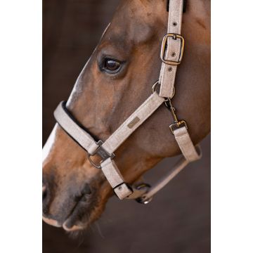 Halster HVPFrancis -  Beige