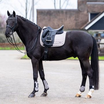Zadeldekje HVP-Dewi dressuur -  Pebble