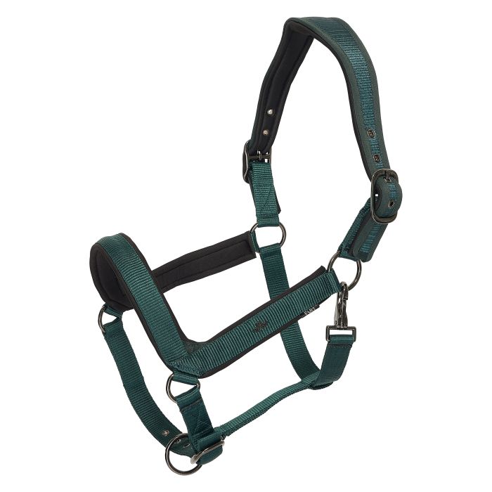 Headcollar HVPEssential - 6130 - Duck green
