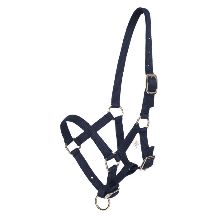 Headcollar foal HVPNena - 5001 - Navy