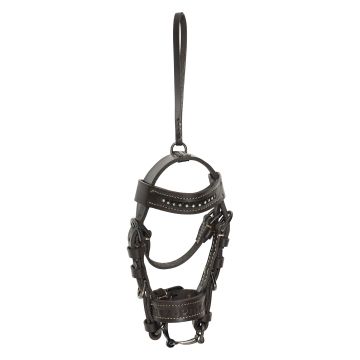Hoofdstel hanger HVPLegacy -  Wood