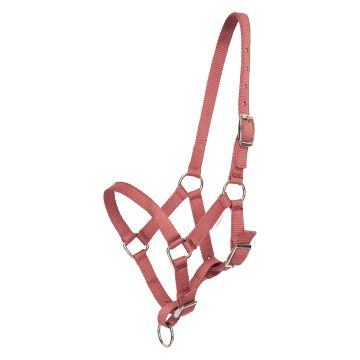 Halster veulen HVP-Nena -  Blush