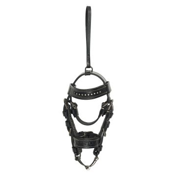 Hoofdstel hanger HVPLegacy -  Black
