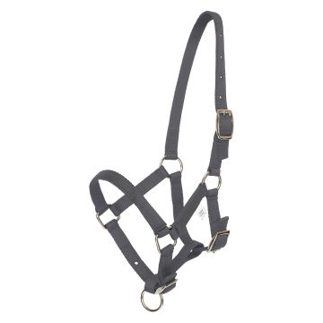 Halster veulen HVP-Nena -  Cloud grey 