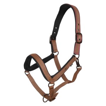 Halster HVP-Essential -  Fox