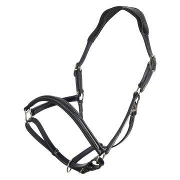 Halster HVP-Legacy -  Black