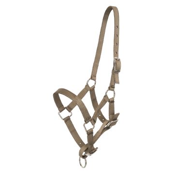Halster veulen HVP-Nena -  Straw
