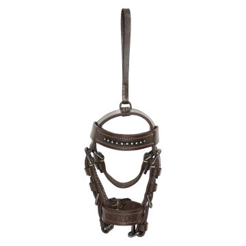 Hoofdstel hanger HVPLegacy -  Almond