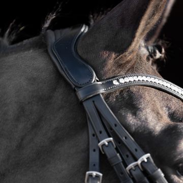 Hoofdstel stang en trens HVP-Legacy deluxe -  Black