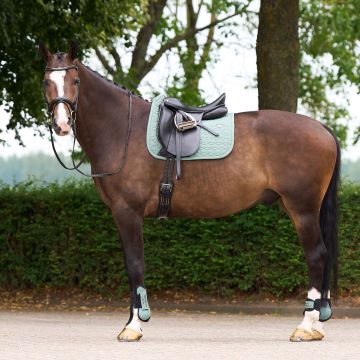 Zadeldekje HVP-Essential dressuur -  Greenery