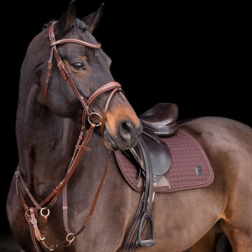 Martingaal HVP-Legacy -  Brown