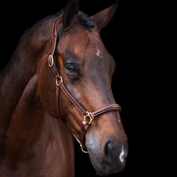 Halster HVP-Legacy -  Brown