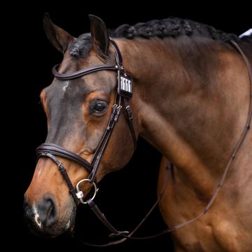Wedstrijdnummer HVP-Legacy -  Chocolate brown