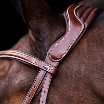 Hoofdstel HVP-Legacy -  Brown