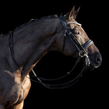 Hoofdstel stang en trens HVP-Legacy deluxe -  Black