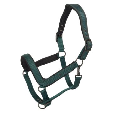 Halster HVP-Essential -  Duck green