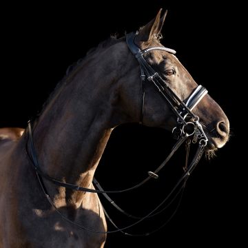 Hoofdstel stang en trens HVP-Legacy deluxe -  Black-White
