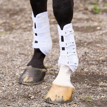 Dressuur peesbeschermers HVP-Pro Movement -  White 