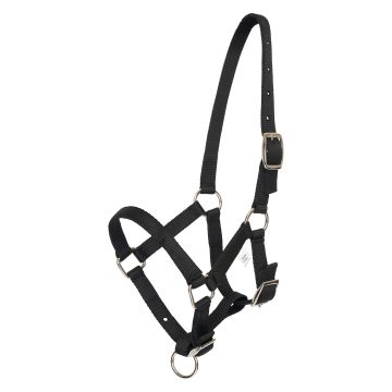 Halster veulen HVP-Nena -  Black