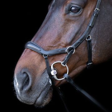 Hoofdstel HVP-Legacy Anatomisch deluxe -  Black