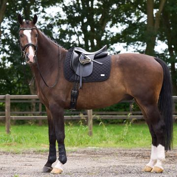 Zadeldekje HVP-Pro performance dressuur -  Black