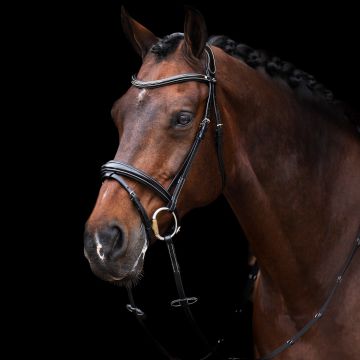 Hoofdstel HVP-Legacy -  Black