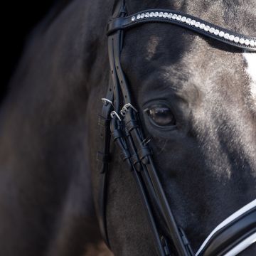 Hoofdstel stang en trens HVP-Legacy deluxe -  Black-White