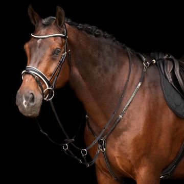 Martingaal HVP-Legacy -  Black