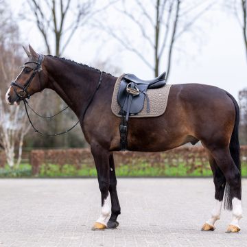 Zadeldekje HVP-Essential dressuur -  Stone