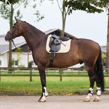 Zadeldekje HVP-Essential dressuur -  Cashmere
