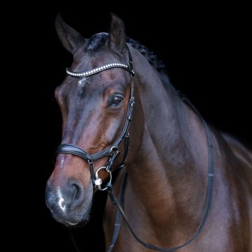 Hoofdstel HVP-Legacy Anatomisch deluxe -  Black