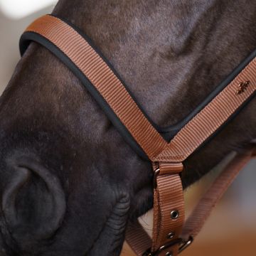 Halster HVP-Essential -  Fox