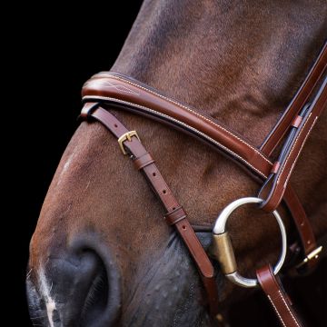 Hoofdstel HVP-Legacy -  Brown