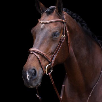Hoofdstel HVP-Legacy -  Brown