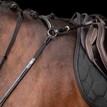 Martingaal HVP-Legacy -  Black
