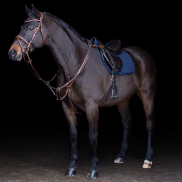 Martingaal HVP-Legacy -  Brown